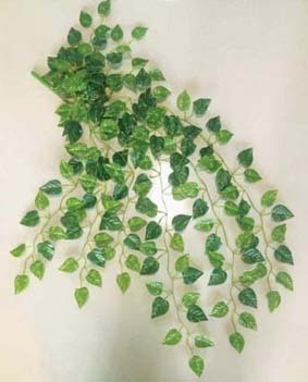 Namiba Terra Hängepflanze kleinblättrige Philoranke grün-gelb geadert ca. 85-90 cm Seide